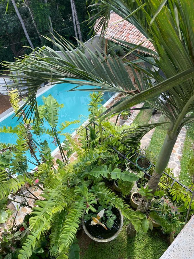 Bouganvilla House Unawatuna Exteriör bild